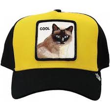 Cappello Goorin Cool Cat